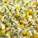 Copy of Synergy Tea Premium Herbal Tea Website Design Overview (460 x 460 px) (460 x 460 px).webp