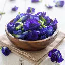 Copy of Synergy Tea Premium Herbal Tea Website Design Overview (480 x 480 px).webp